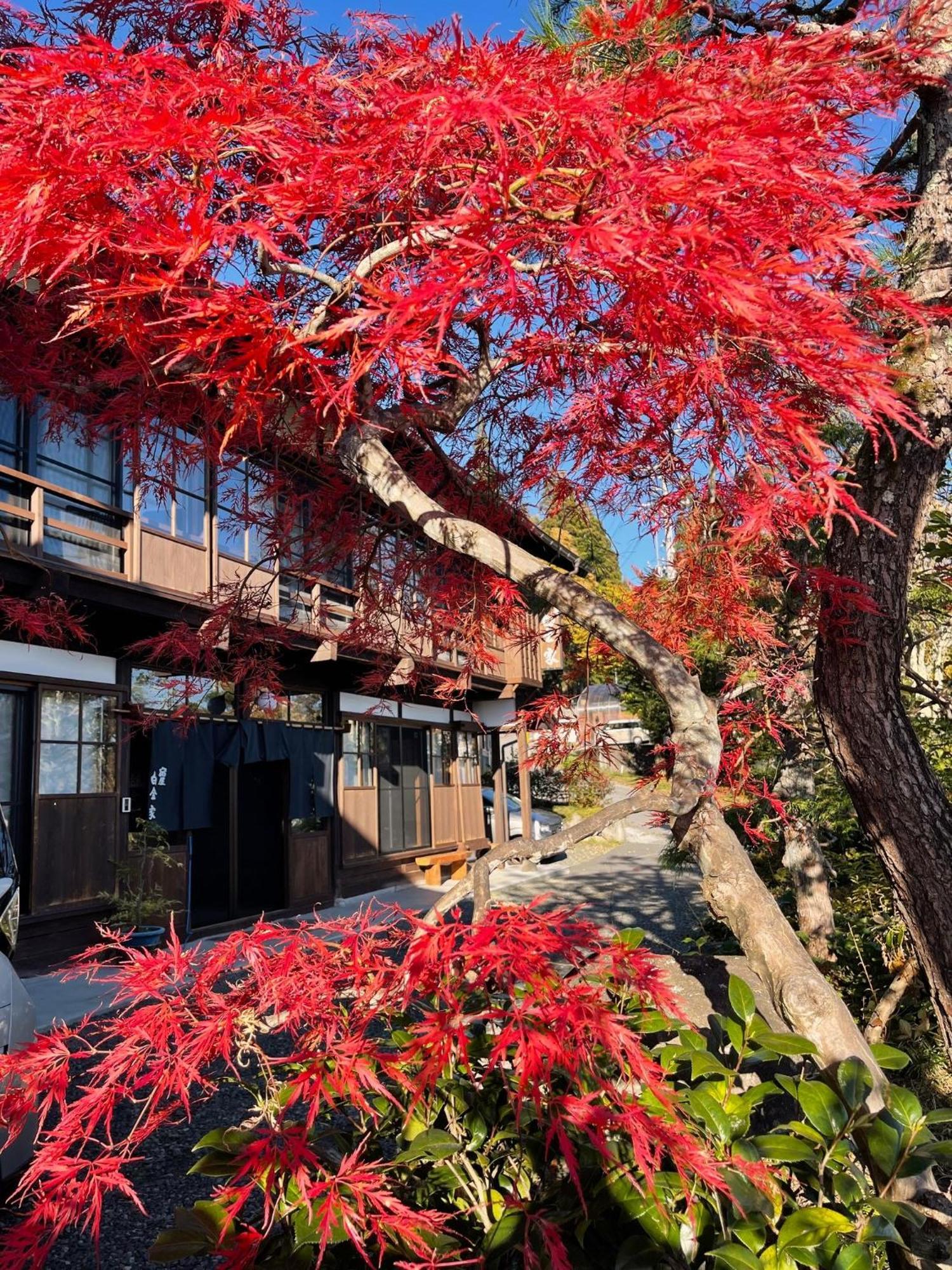 宿屋白金家 Yadoya-Shiroganeya 1日1組限定2名から8名様まで 全館貸切り 伝統的建造物の旅籠宿 Traditional Culture Experience Nagano Eksteriør bilde